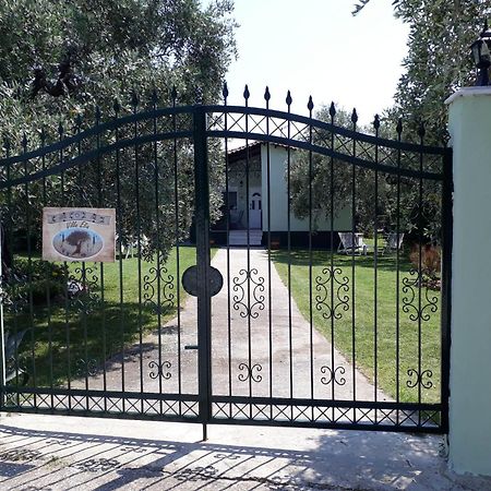 Villa Elia スカラ・ソティロス エクステリア 写真