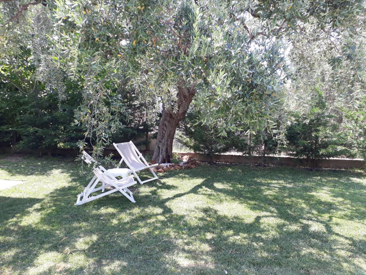 Villa Elia スカラ・ソティロス エクステリア 写真