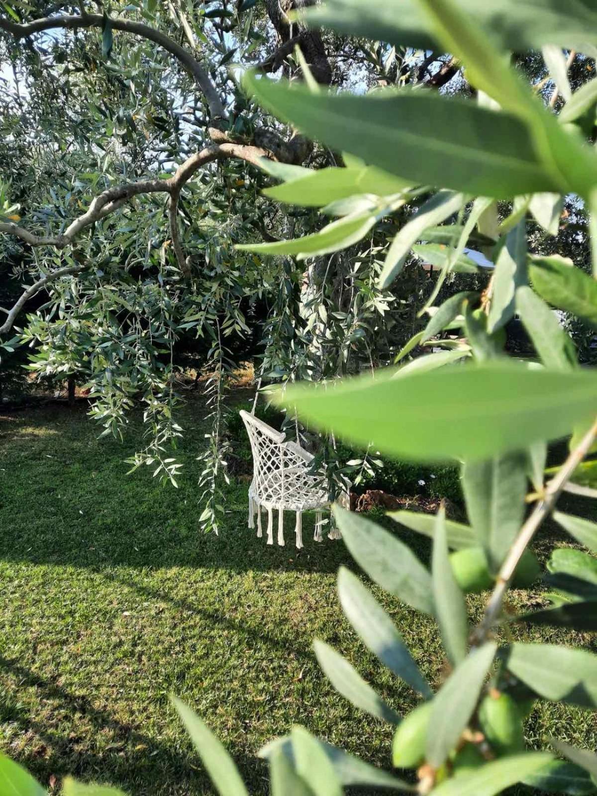 Villa Elia スカラ・ソティロス エクステリア 写真