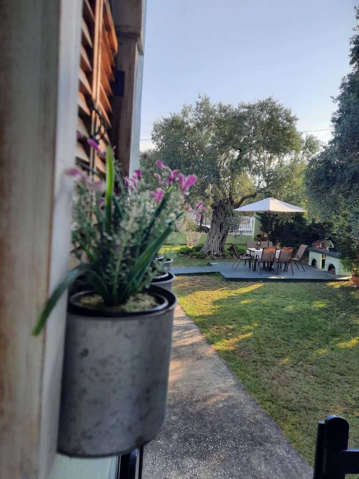 Villa Elia スカラ・ソティロス エクステリア 写真