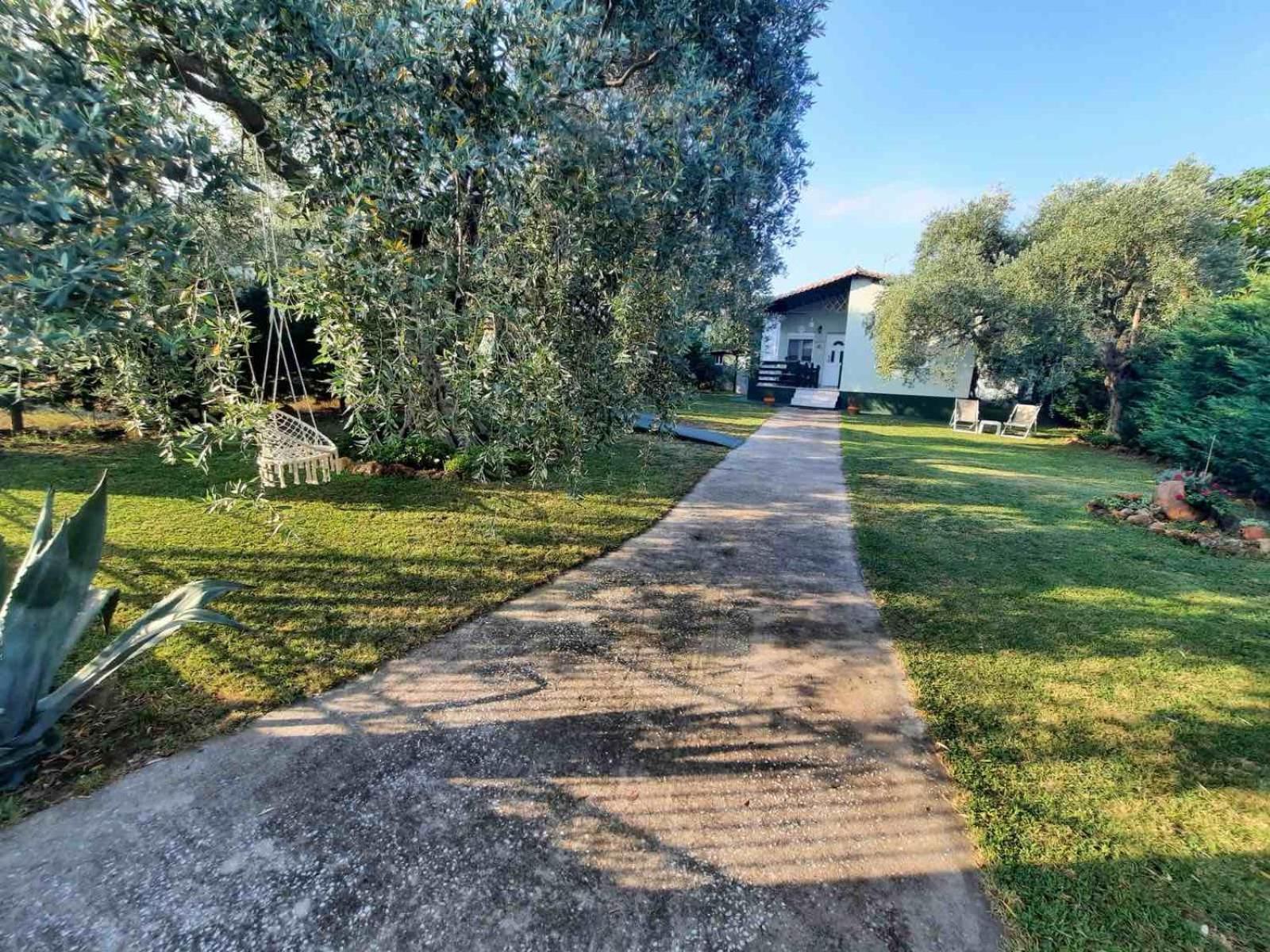 Villa Elia スカラ・ソティロス エクステリア 写真