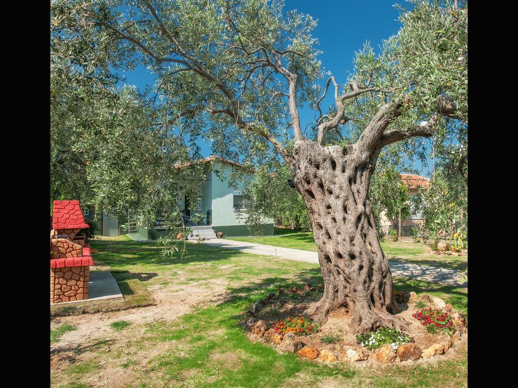 Villa Elia スカラ・ソティロス エクステリア 写真