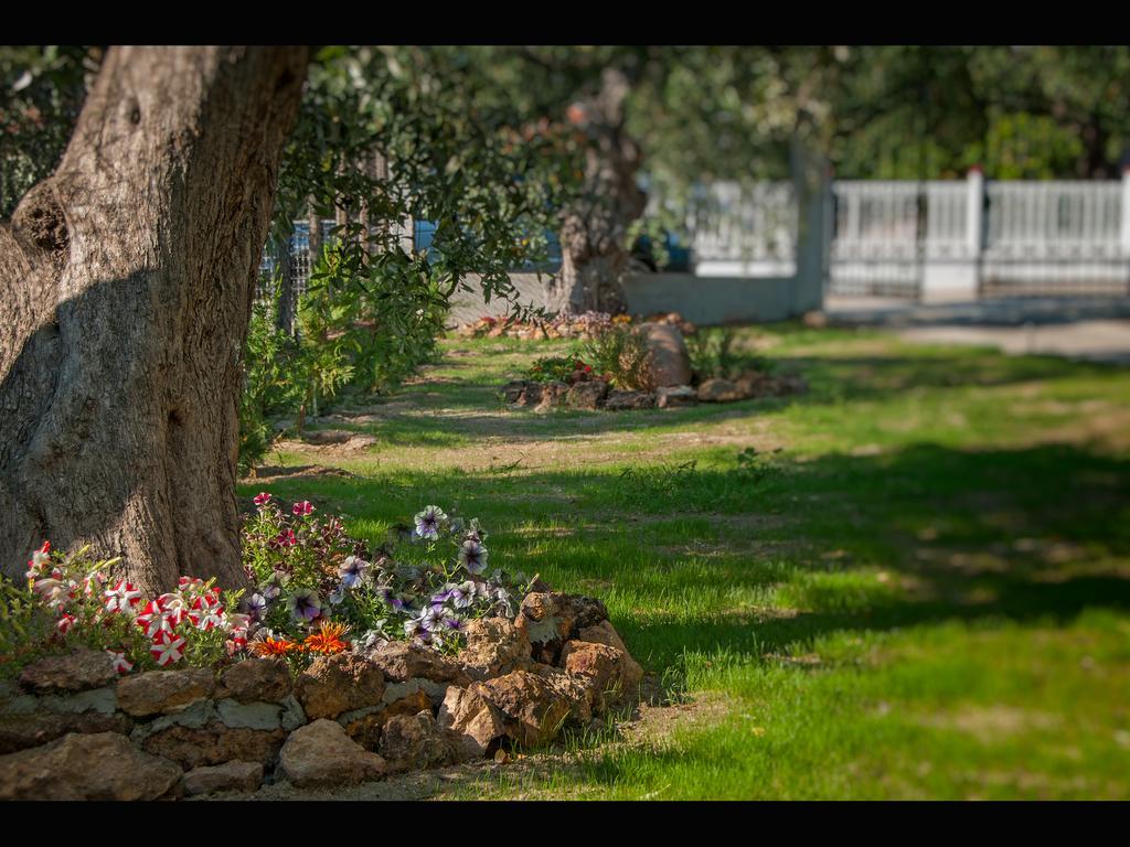 Villa Elia スカラ・ソティロス エクステリア 写真